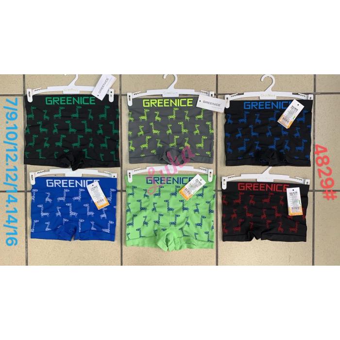 Kid's panties Greenice 4828