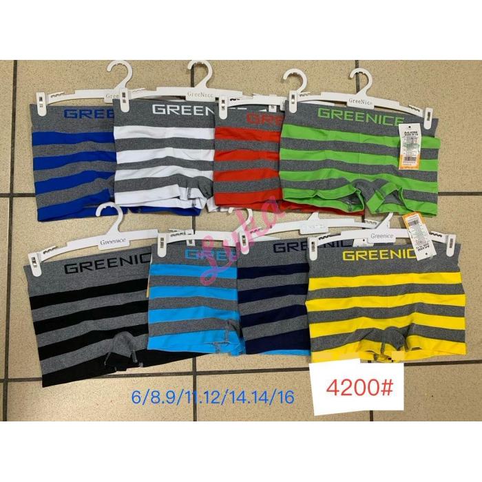 Kid's panties Greenice 6434