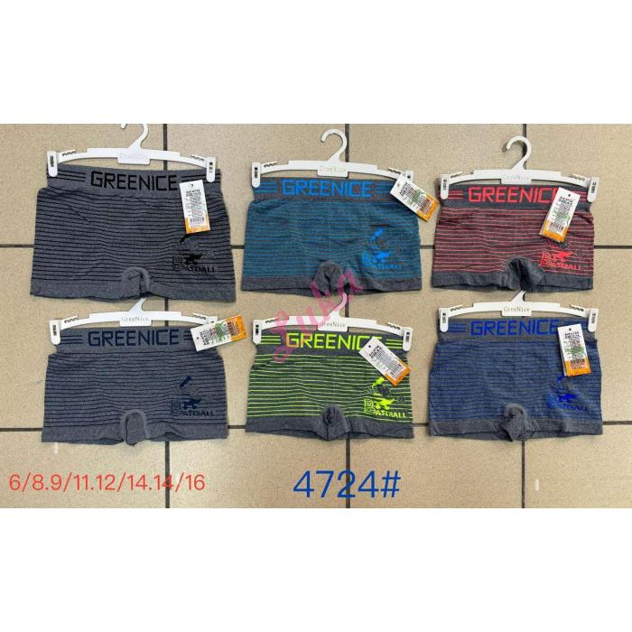 Kid's panties Greenice 4579