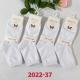 Men's socks QJ ZY144-243