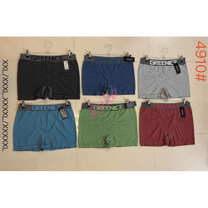 Men's boxer Greenice 4910