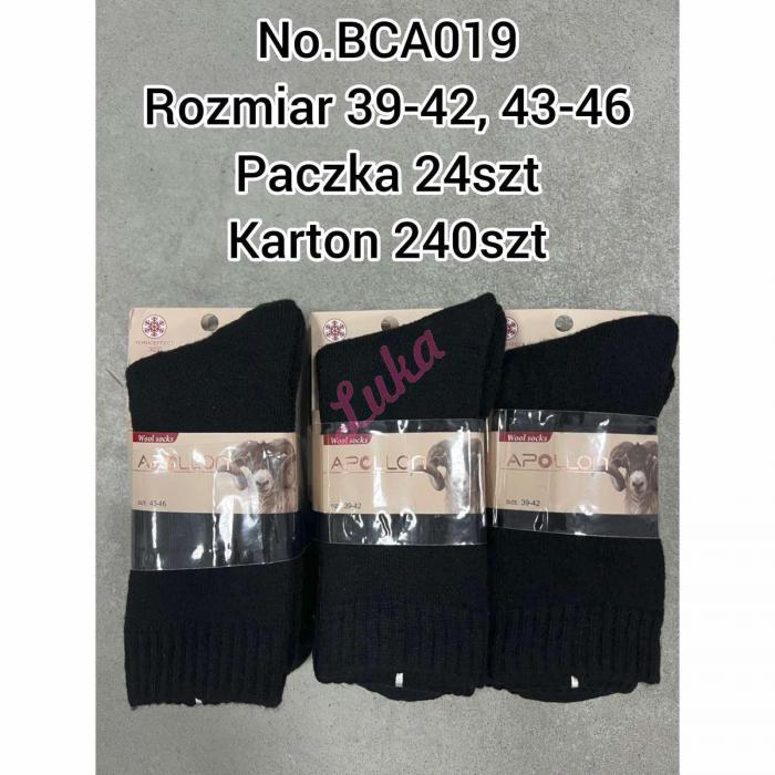 Men's THERMO socks Apollon BCR7081