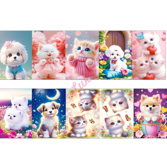 Ściereczka mikrofibra MER-1201 25x50