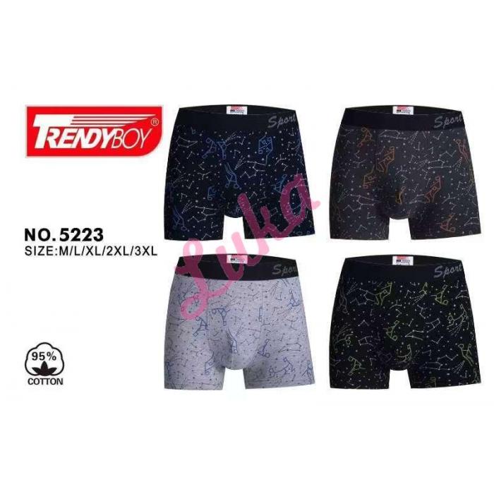 Men's boxer Trendy Boy F5010
