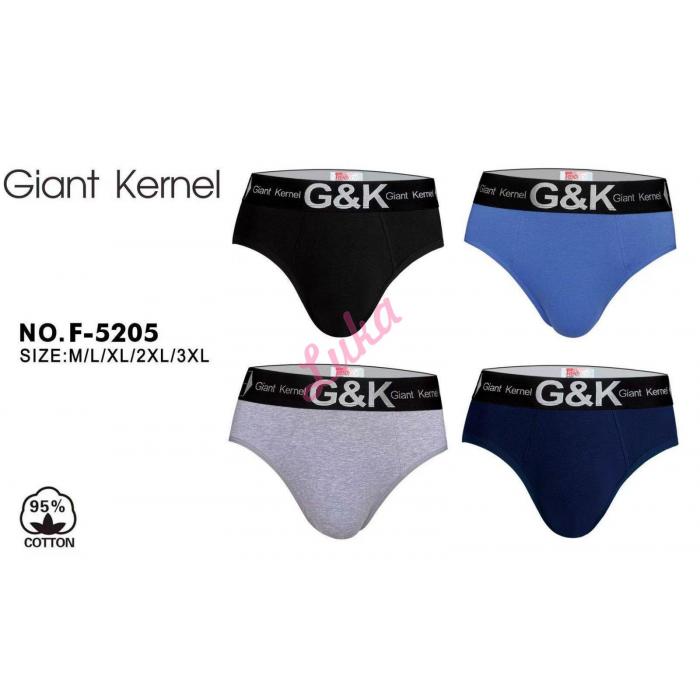 Men's briefs Giant Kernel 5053