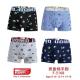 Kid's boxer Trendy Boy FY1780