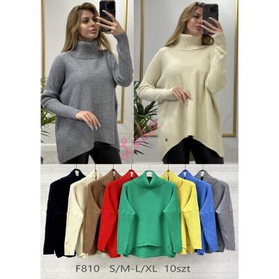 Women's sweater F810