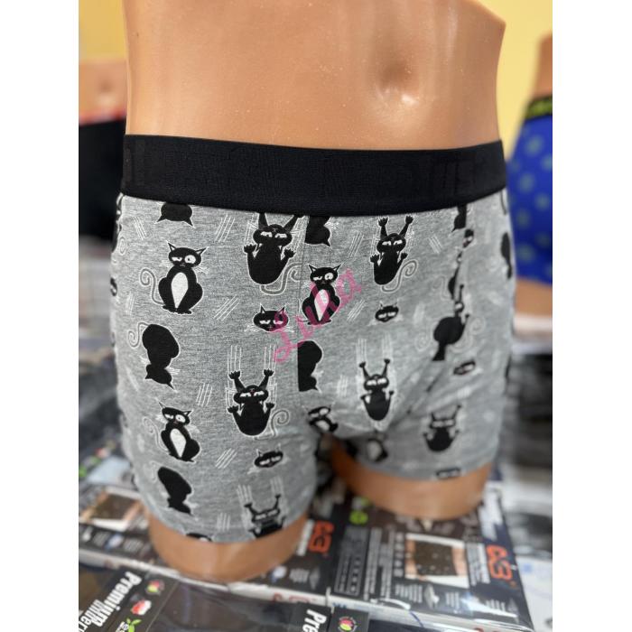 Men's boxer shorts C+3 VBE-306