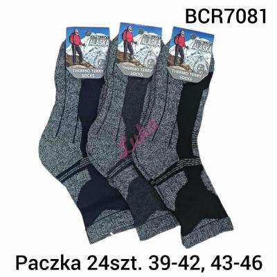 Men's THERMO socks Apollon BCR7081