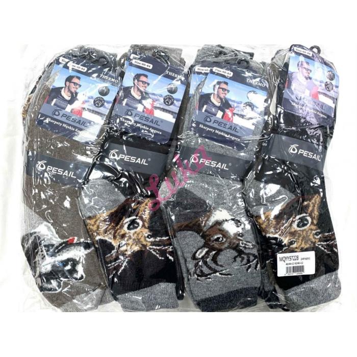 Men's Socks ANGORA Pesail MIYY97254