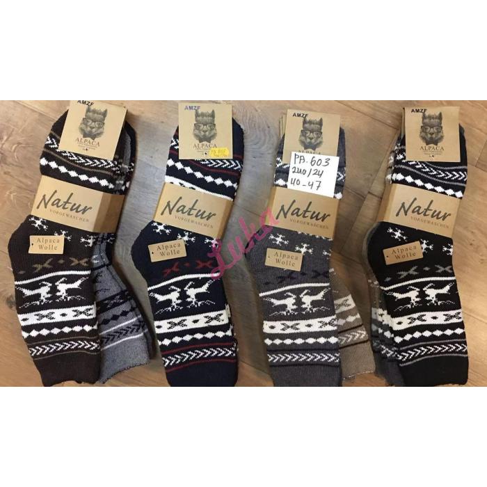 Mens Socks ALPAKA NATUR PA-603