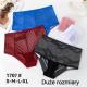 Women's Panties Hon2 1707