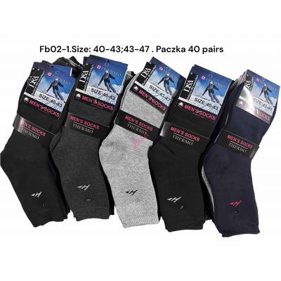 Men's Socks THERMO D&A FB02-1