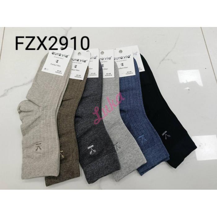 Men's socks Auravia FZX2913