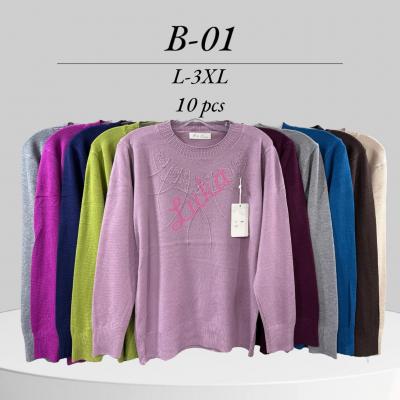 Women's sweater NO-B01