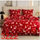 Bedding set 3cz. Cotton World CTW-1507 160x200