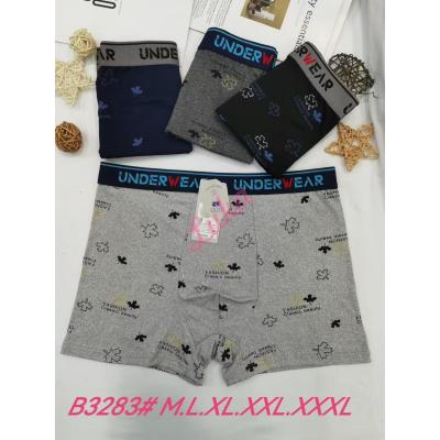 Men's boxer shorts Sweet Dream 3283