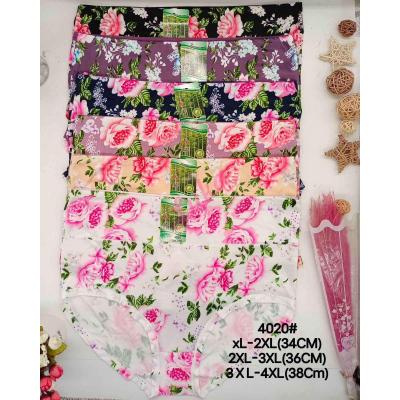 Majtki damskie bambusowe C&R 4020