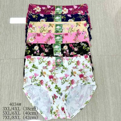 Majtki damskie bambusowe C&R 4034