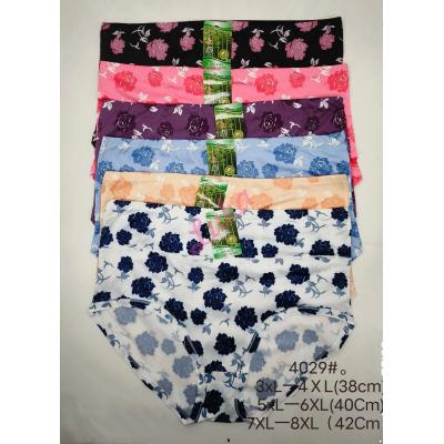 Women's bamboo panties C&R 4038