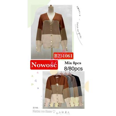 Women's sweater B251061