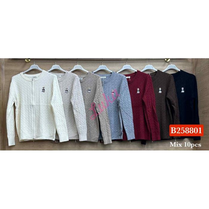 Women's sweater B252501