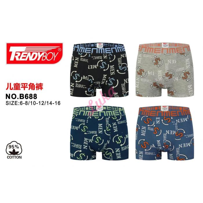 Teenager's boxer Trendy Boy B688