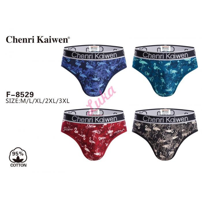 Men's panties Chenri Kaiwen F8534