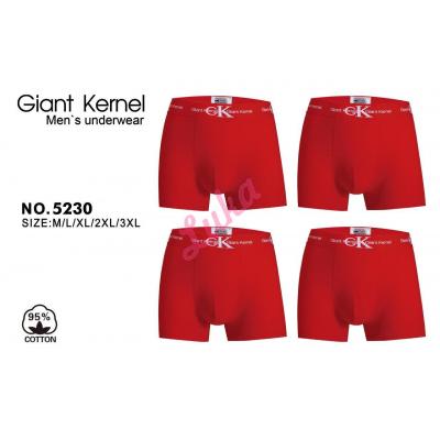 Men's boxer Mantegz F839