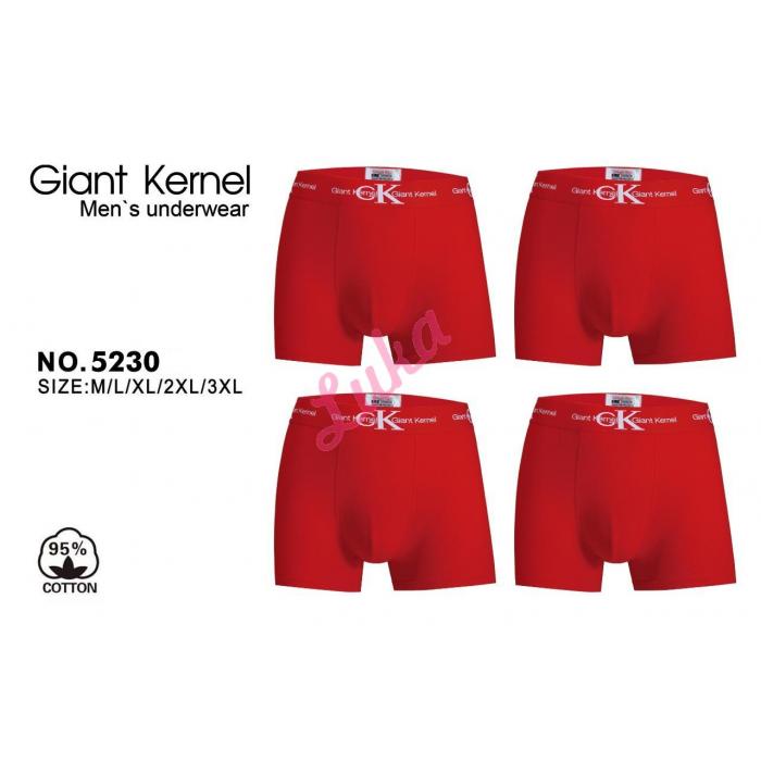 Men's boxer Mantegz F839