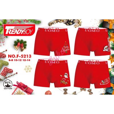 Teenager's boxer Trendy Boy NO-5212