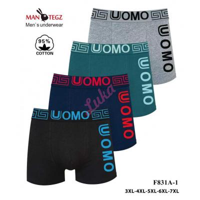 Men's boxer Mantegz F831A-1