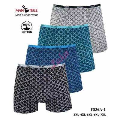 Men's boxer Mantegz F836A-1