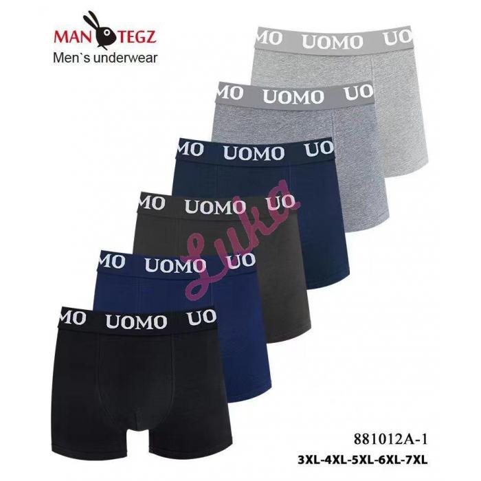 Men's boxer Mantegz