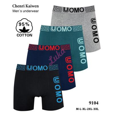 Men's boxer Chenri Kaiwen 9104