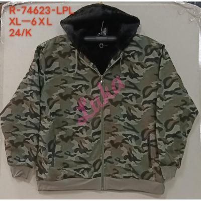 Men's hoodie Lintebob R-74601