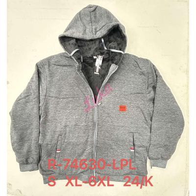 Men's hoodie Lintebob R-74629