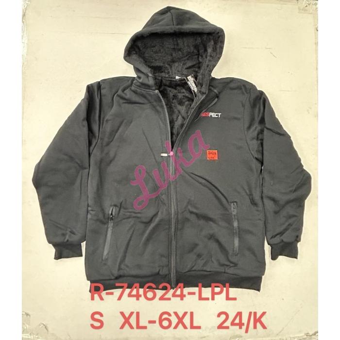 Men's hoodie Lintebob R-74630