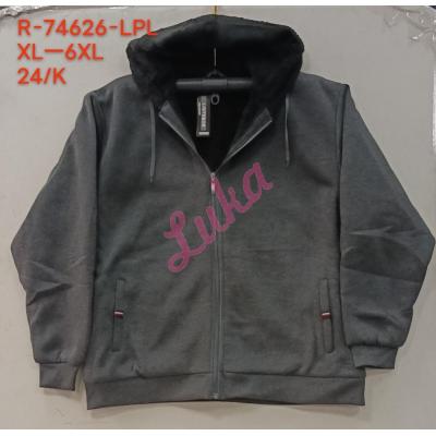 Men's hoodie Lintebob R-74624