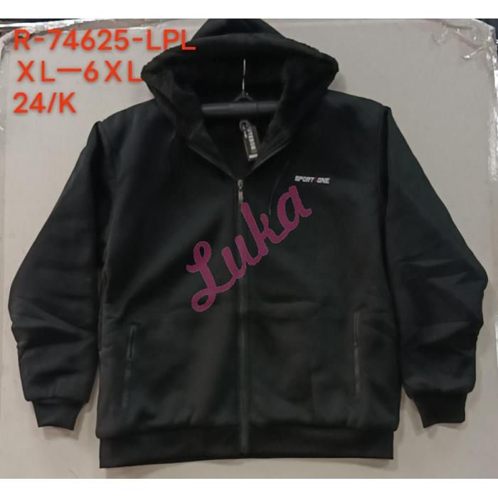 Men's hoodie Lintebob R-74627