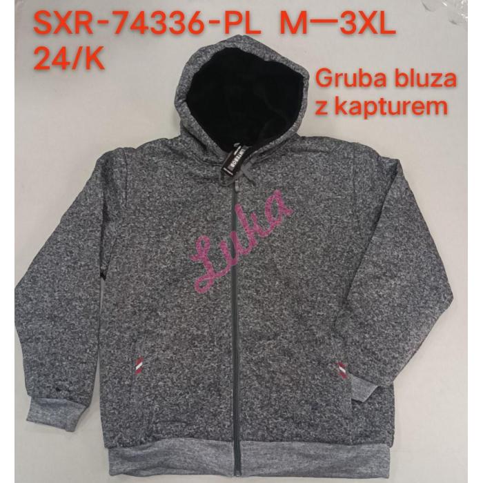 Men's hoodie Lintebob R-74337