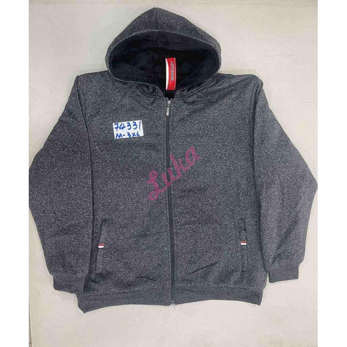 Men's hoodie Lintebob R-74329
