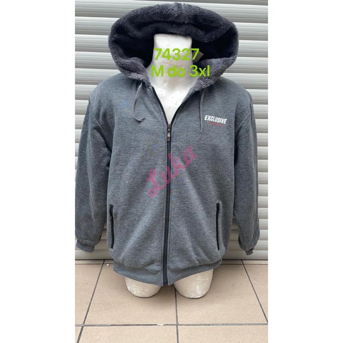 Men's hoodie Lintebob R-74326