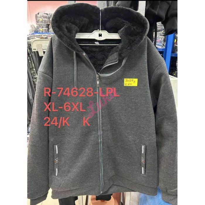 Men's hoodie Lintebob R-74327