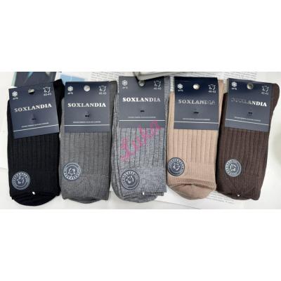 Men's socks Soxlandia C18-320 KASZMIR
