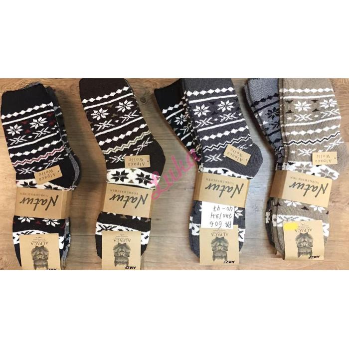 Men's socks C18-330 ALPAKA