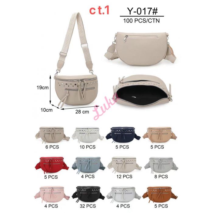 Bag Y-92101