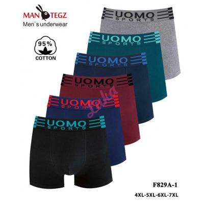 Men's boxer Mantegz HD2051A-1
