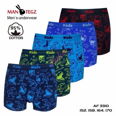 Teenager's boxer Mantegz AF3310