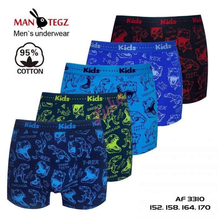Teenager's boxer Mantegz HD3039
